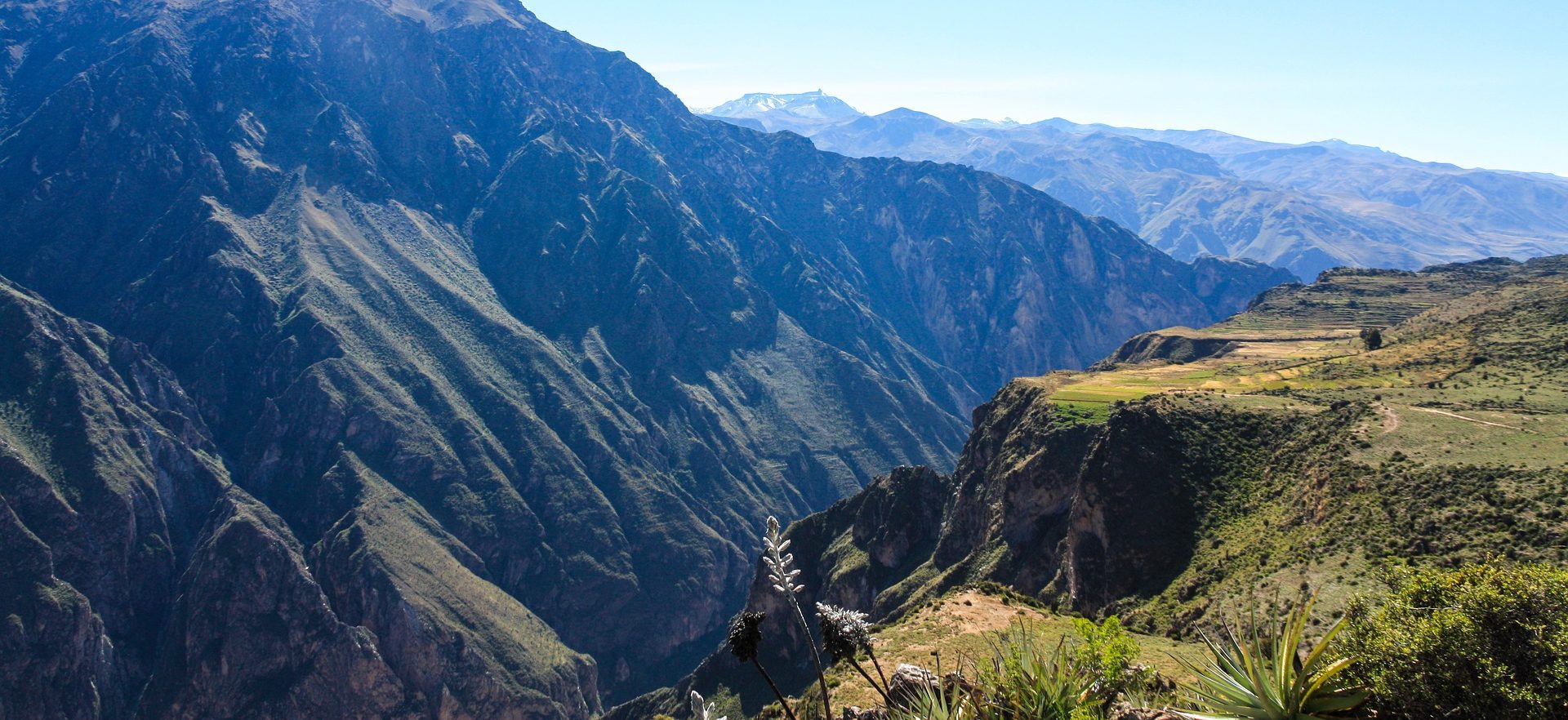 Colca Canyon Perù